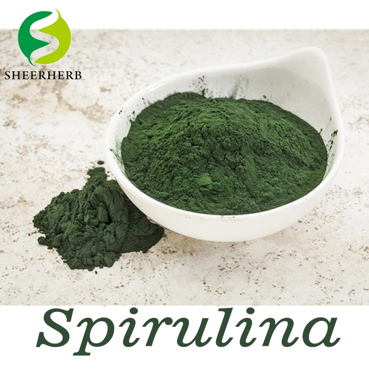 La couleur des aliments naturels Sheerherb fabrique la spiruline phycocyanine Pigment bleu poudre