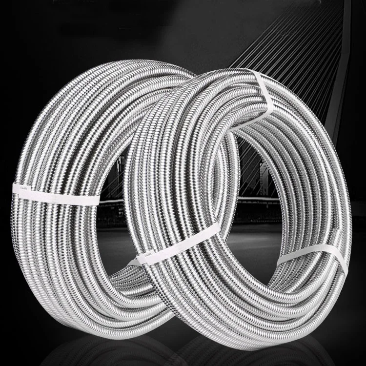 Flexible Stainless Steel Double Lock Shower Hose with Reinforced Inner Hose