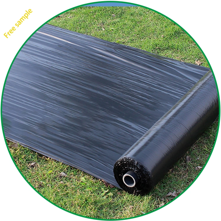 25 Micron 1.2m Wide Polyethylene Plastic Mulch Film Agricultural Tomato Mulch Film