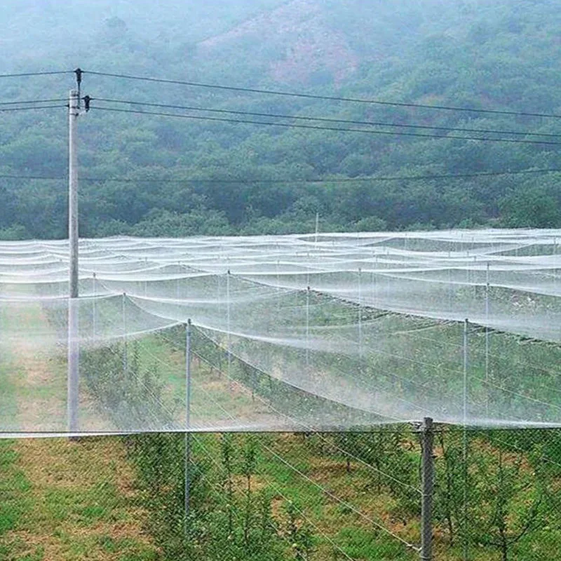 Bom Preço 100% de HDPE plástico UV transparente Inseto com efeito de estufa e a tela de Mosquito Agricultura Inseto Malhagens