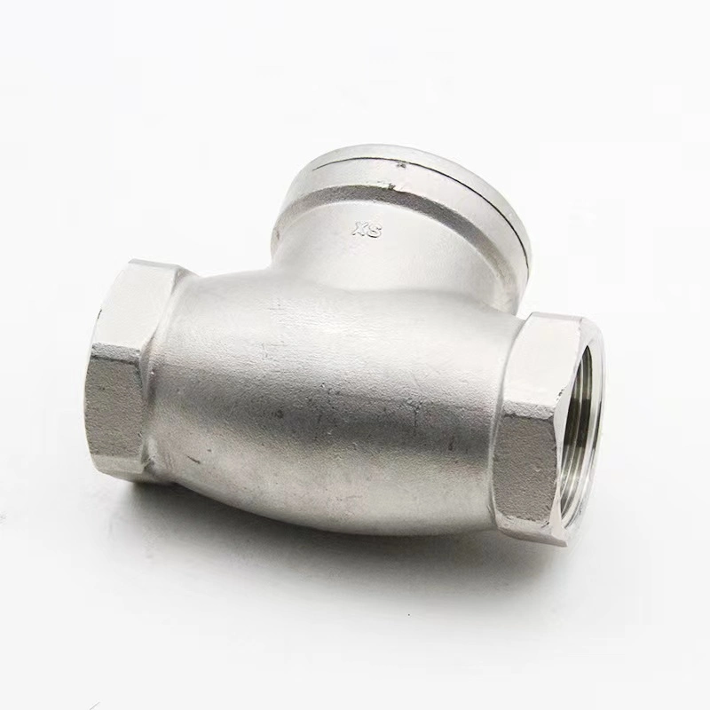 Wenzhou Bstv Manufacturer Stainless Steel Female Non-Return Swing Horizontal Check Valve with High quality/High cost performance 