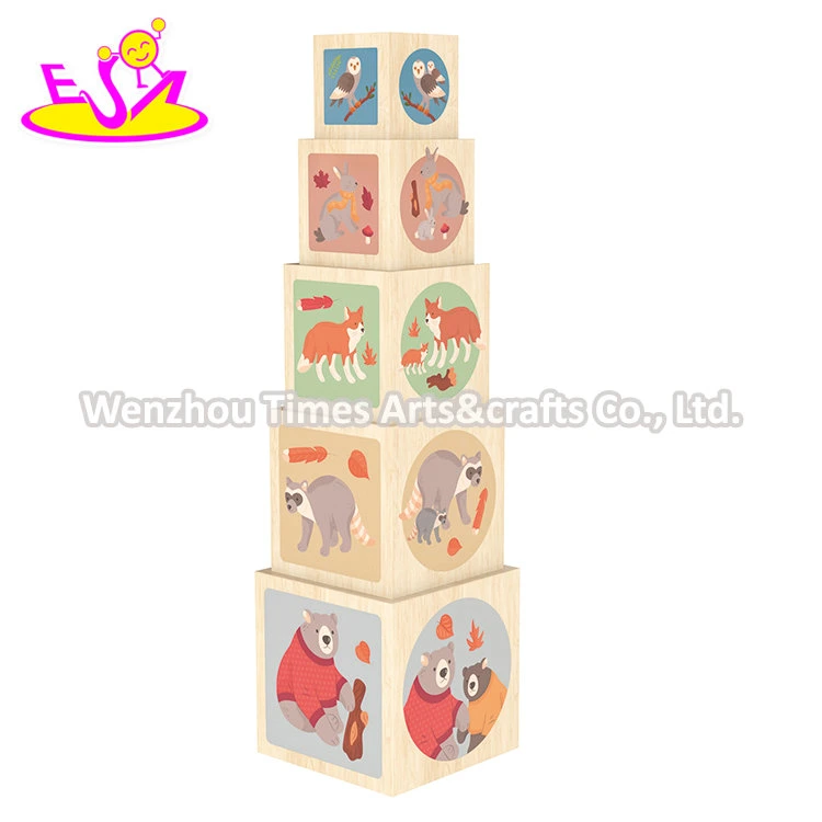 Kids Toddler Baby Gift Montessori Educational Wooden Toys Stacking and Nesting Cubes