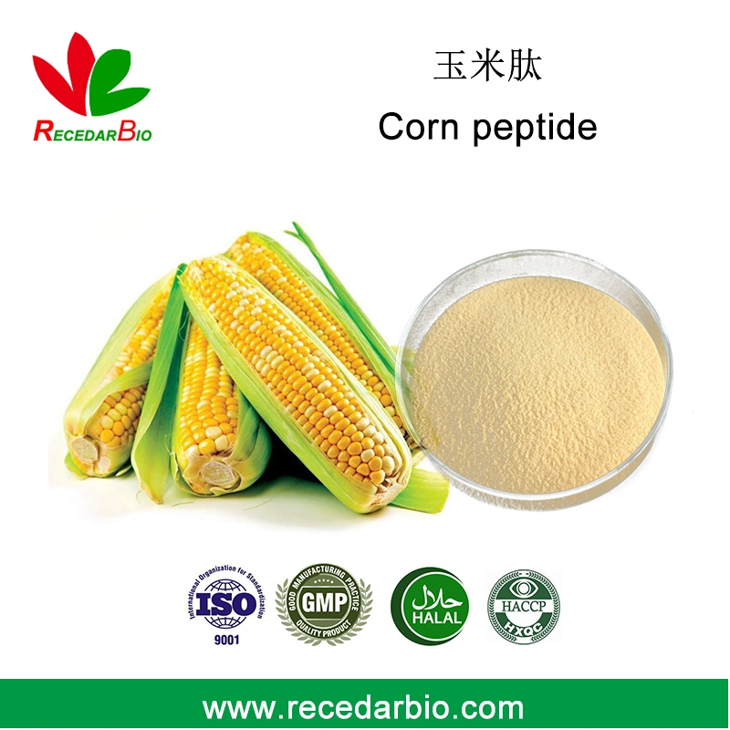 High quality/High cost performance Small Molecule Corn Protein Peptide Powder