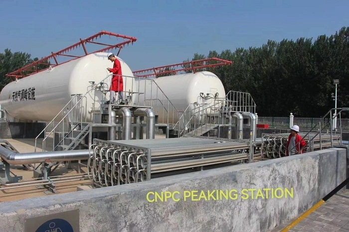 LNG-Vergasungsstation für Empfang, Lagerung und Verteilung LNG-Satellitenstation