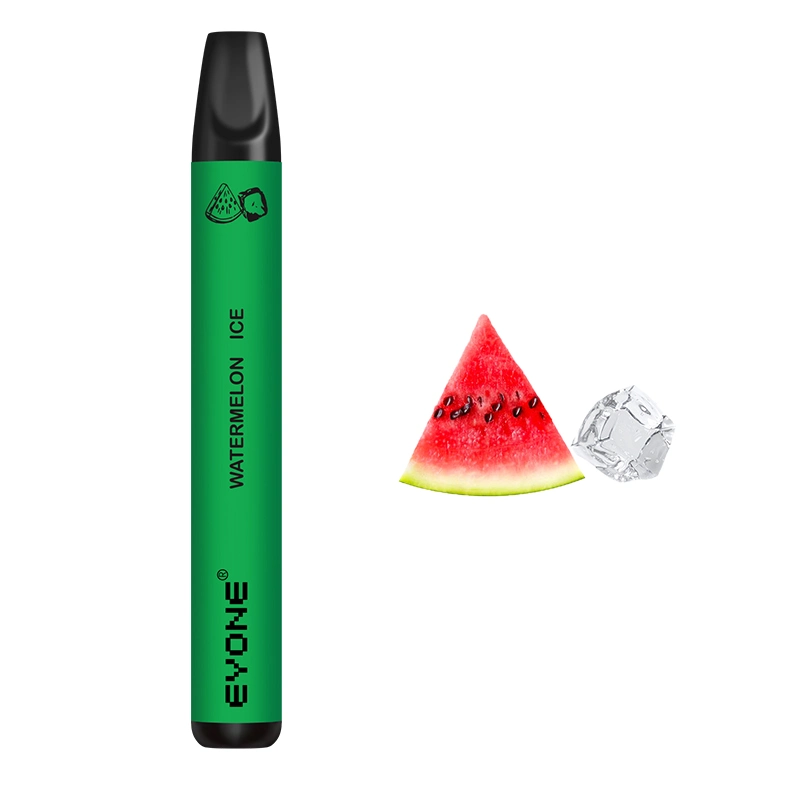 OEM Popular 600 Puffs Disposable/Chargeable Vape Pen High-End 2% Nicotine Electronic Cigarette