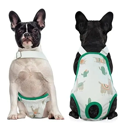 Instrumento médico al por mayor desechable mascota pañal suave perro macho femenino Pañal para mascotas desechable FDA/CE en venta entrega rápida OEM