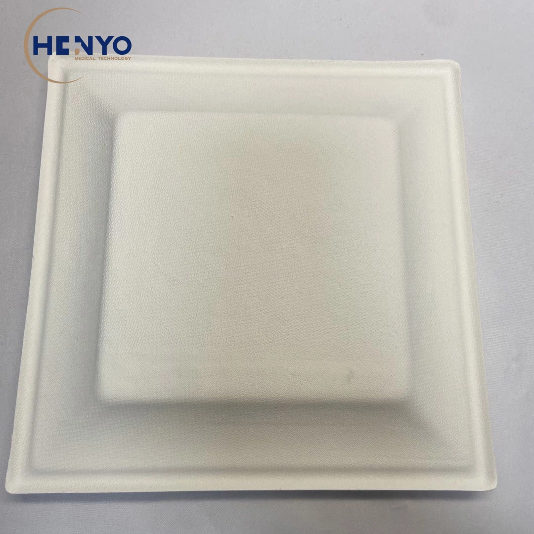 8-Inch Disposable Food Tray Eco-Friendly Biodegradable Square Food Tray