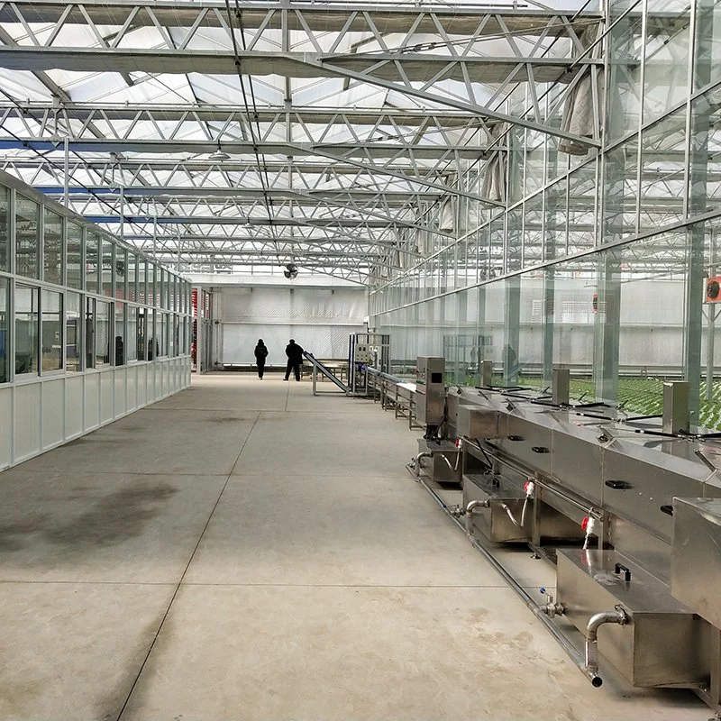 Oco inteligente Double-Layer estufa de vidro para produtos hortícolas com sistema de hidroponia