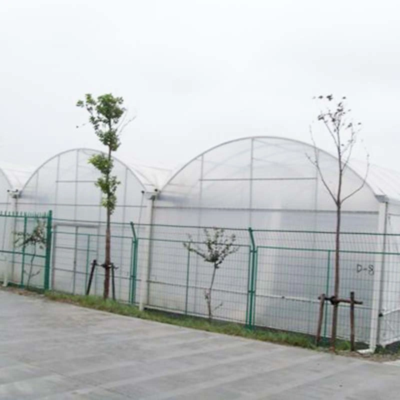 Tunnel Garden Warm Agro Multi Span Greenhouse with Shading System