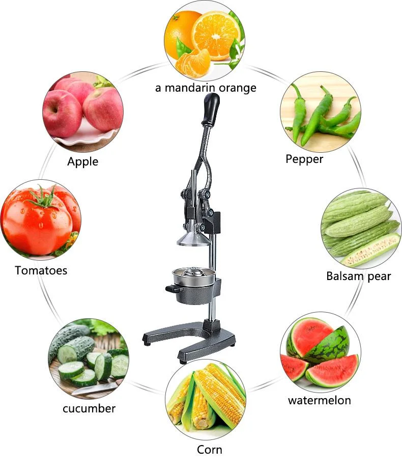 OOTD Premium Citrus Press Manual Exprimidor Acero inoxidable alta resistencia limón Licuadora