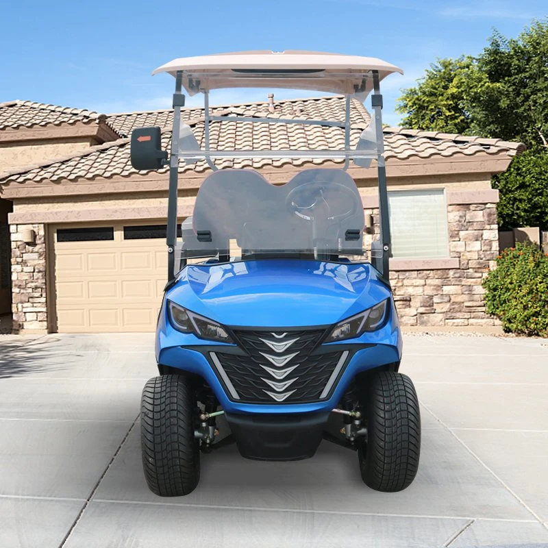 Design profissional personalizado Forge G2 Electric Golf Carts de 2 lugares Buggy do Golf