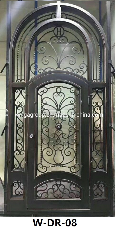 Four Style Side Fixed Iron Security Steel Exterior Door W-Dr-02