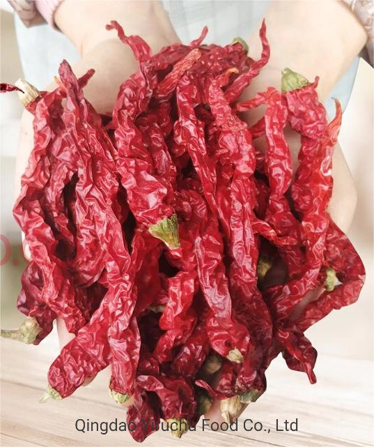 High-Quality Red Chilli and Dried Pepper Supplied by High-Quality Suppliers