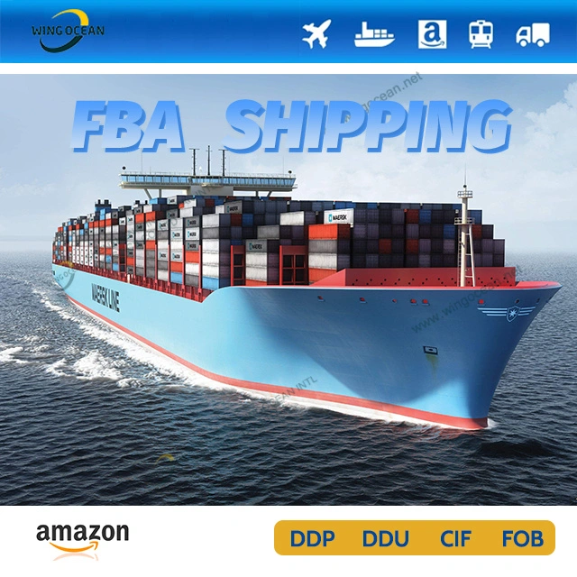 Cargo Ships Door to Door Service Shipping From China to France