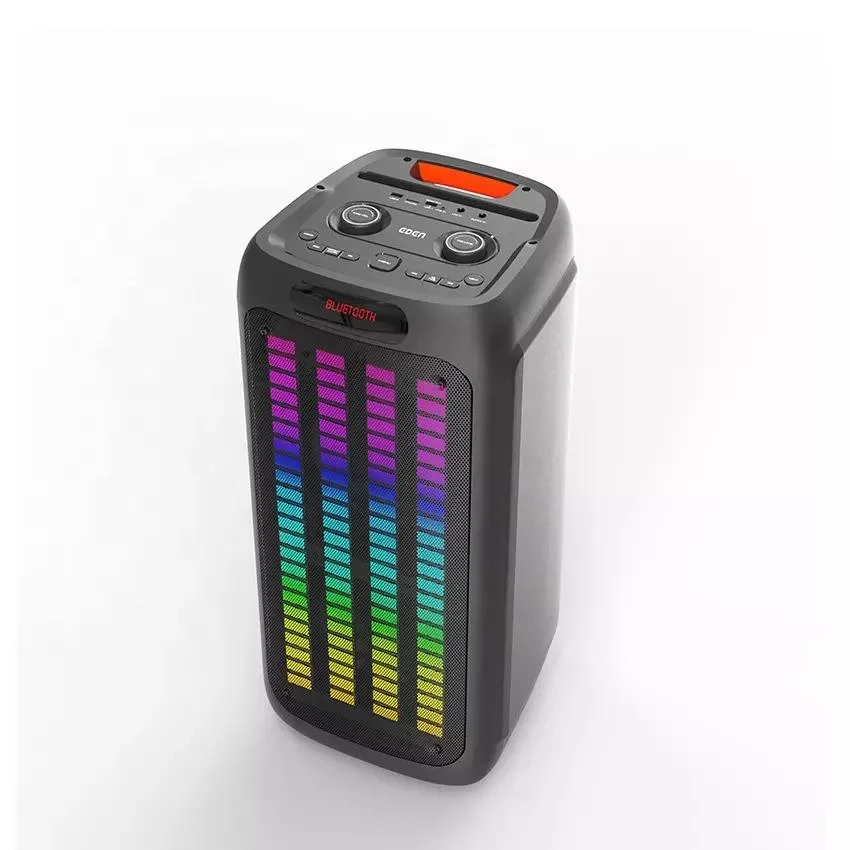 Double woofer 10 pouces Temeisheng Big Active portable Party Wireless Haut-parleur Bluetooth