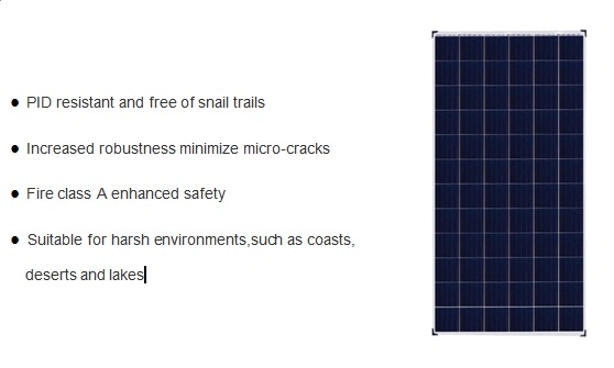 Top-Leading 340W 72celdas Poly Dual-Glass módulo solar