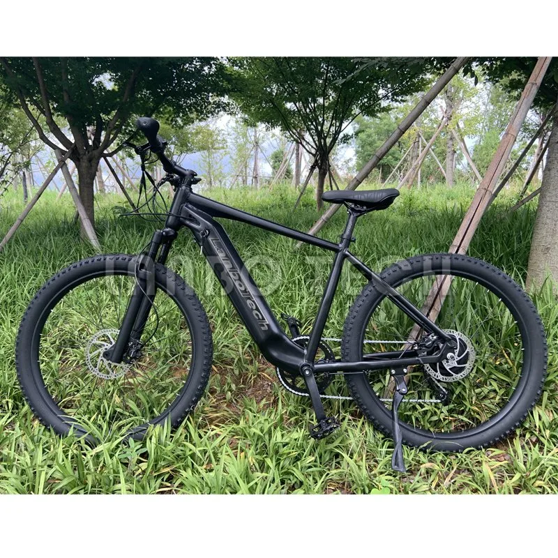 City Bike China OEM Mountain Electric Bike