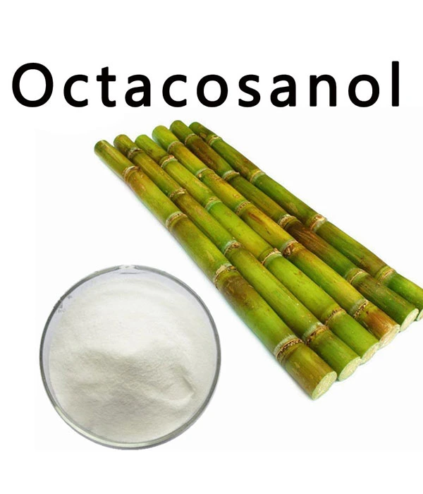 Good Quality and Competive Price of Natural Sugarcane Extract Octacosanol Powder
