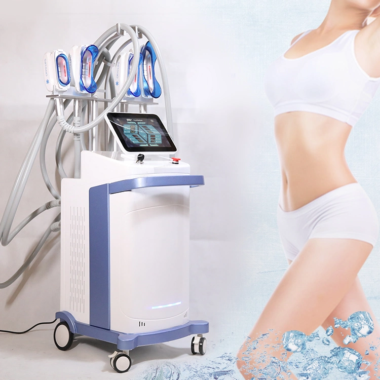 4 Griffe Abnehmen Freeze Fat Cryo Cold Lipolysis Machine 360 Grad