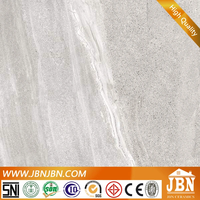 Simple Fashion Style Color Body Cement Tile Floor (JV6711D)