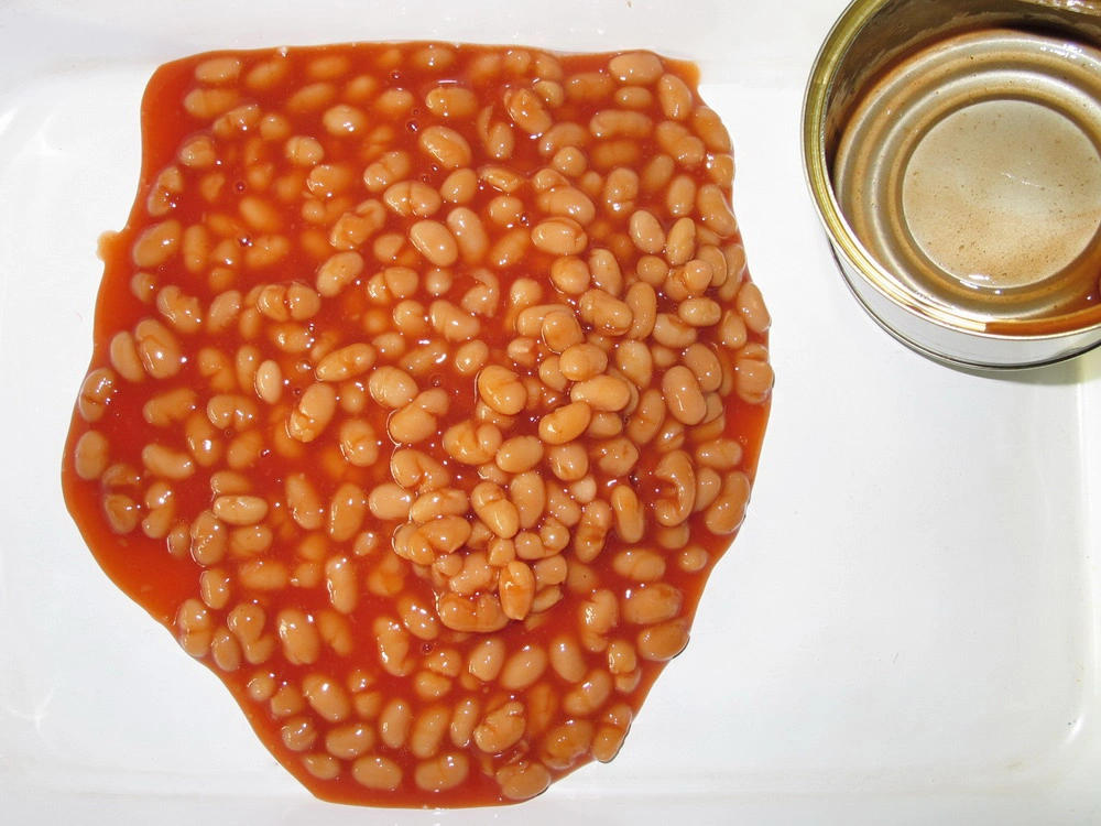 Best Canned Food Canned Baked Beans 425g in High quality/High cost performance 