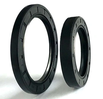 Factory Standard Custom Tc/Sc/Tg Rubber Oil Seals Rings