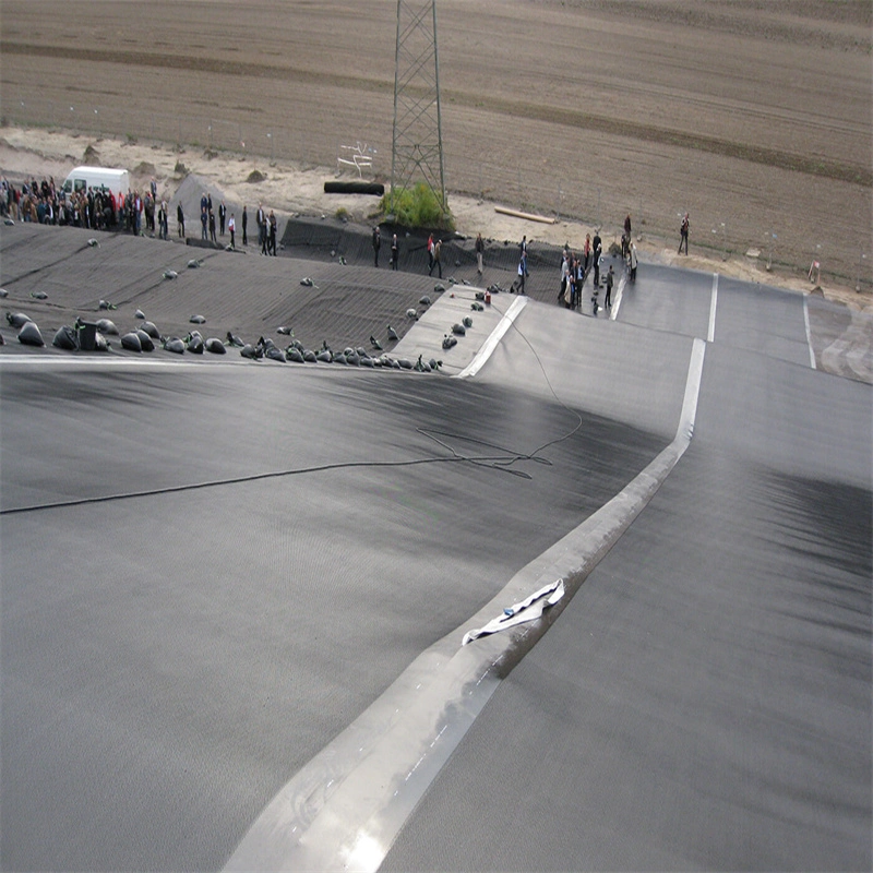 Smooth/Textured HDPE Geomembrane Sheet with Factory Price for Fish Pond Landfill