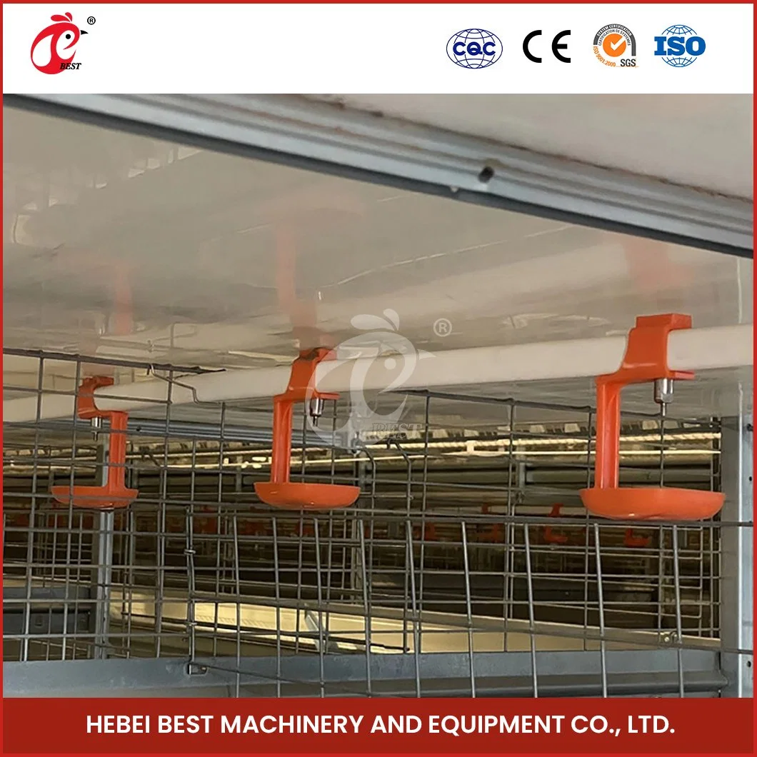 Bestchickencage China Chicken Layer cages 10000 Birds fournisseur a Frame Cages de gril automatique Manuel d'utilisation pratique et personnalisé cage de poulet