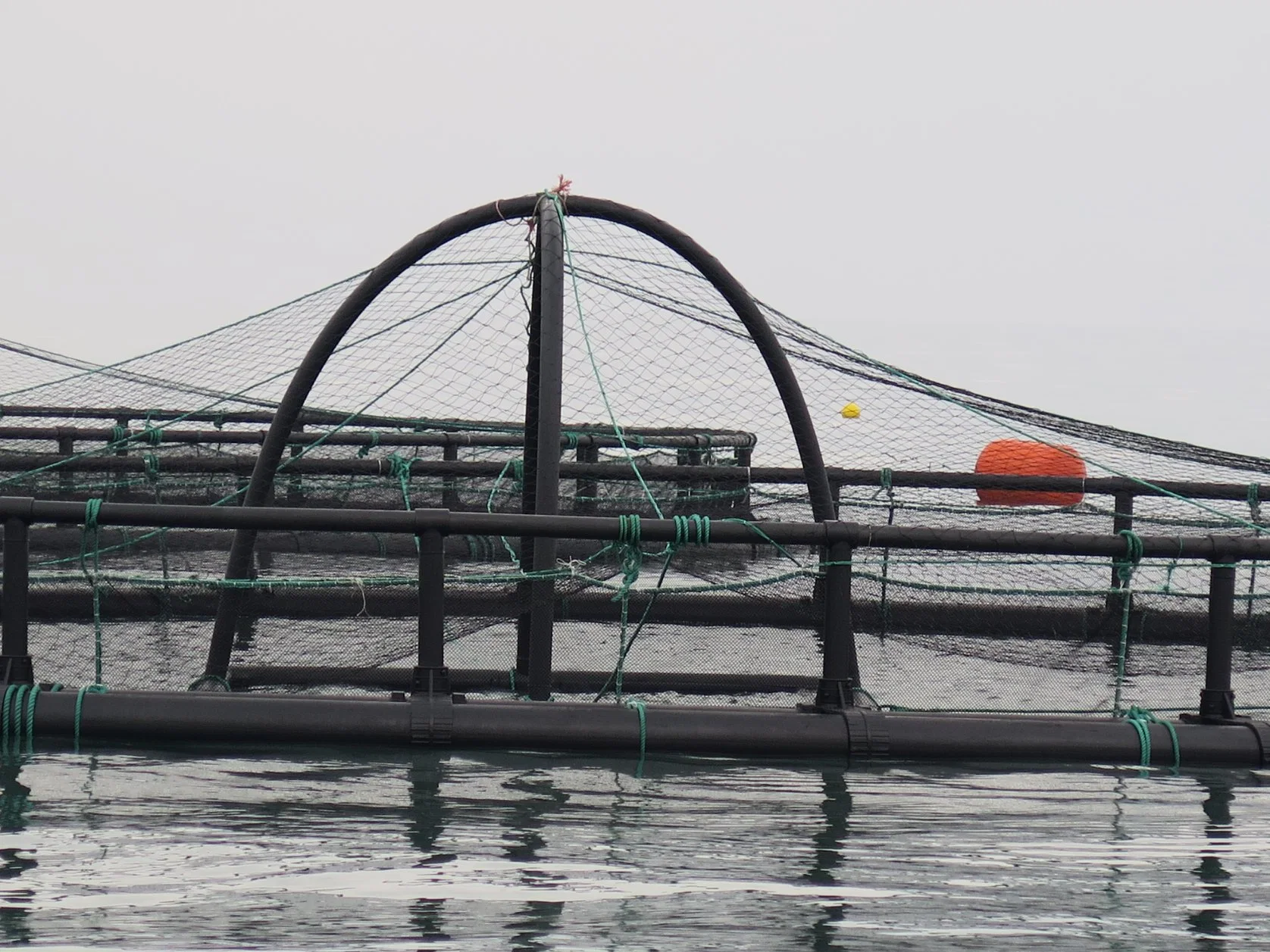 Fish Cage Hariful-503