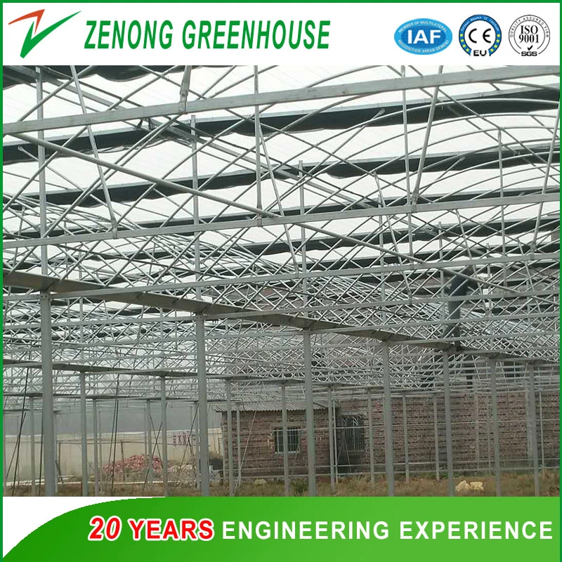 Film Greenhouse Used as Flower House/Hydroponics Cultivation House/Aquaponics House