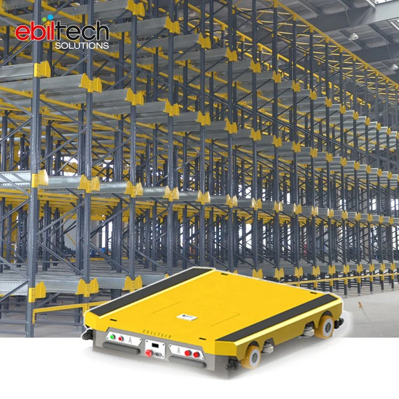 Storage Rack System for Fifo/Filo Radio Shuttle Racking Warehouse