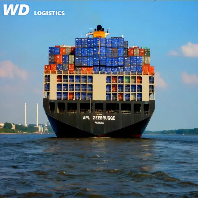 DDP Sea Freight with China Shipping Agent for Container Shipping and Shenzhen Warehouse Service to Southeast Asia USA UAE UK Worldwide with Custom Clearance