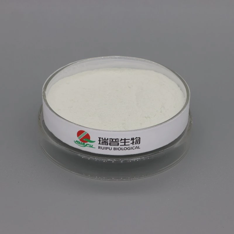 Food Additive Food Grade Pharmaceutical Grade Ferrous Lactate with Factory