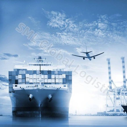 Direct Fast Professional Shipment Door to Door International Express Forwarder by Sea Air From China to Sudan Canada USA