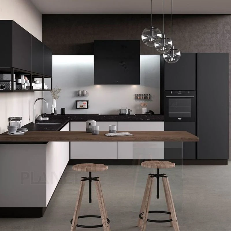 Neu Eingetroffen Küche Holzküche Schranktüren Custom Modern Kitchen Gehäusekonstruktion