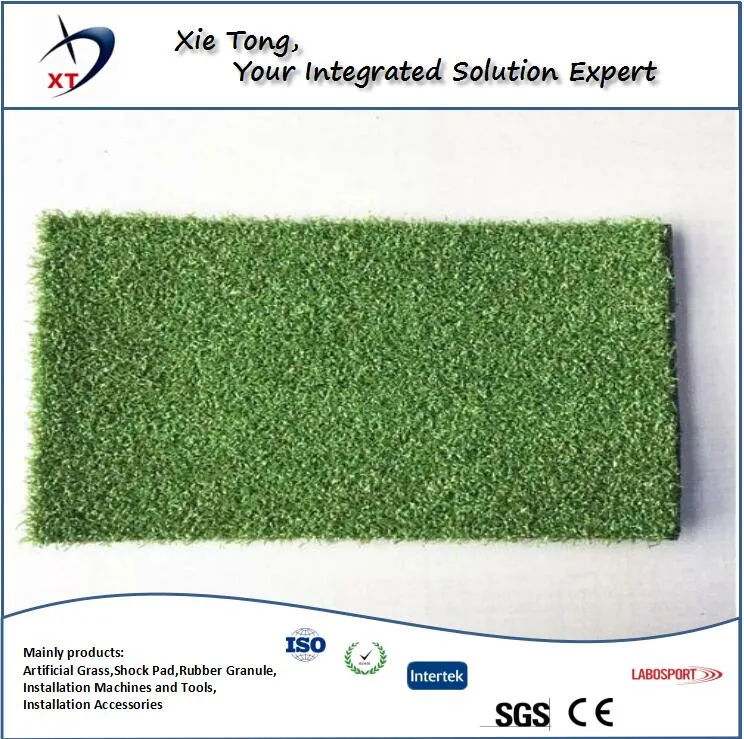 Fitness Gym 12mm 58800st PE Artificial Turf Grass Carpet