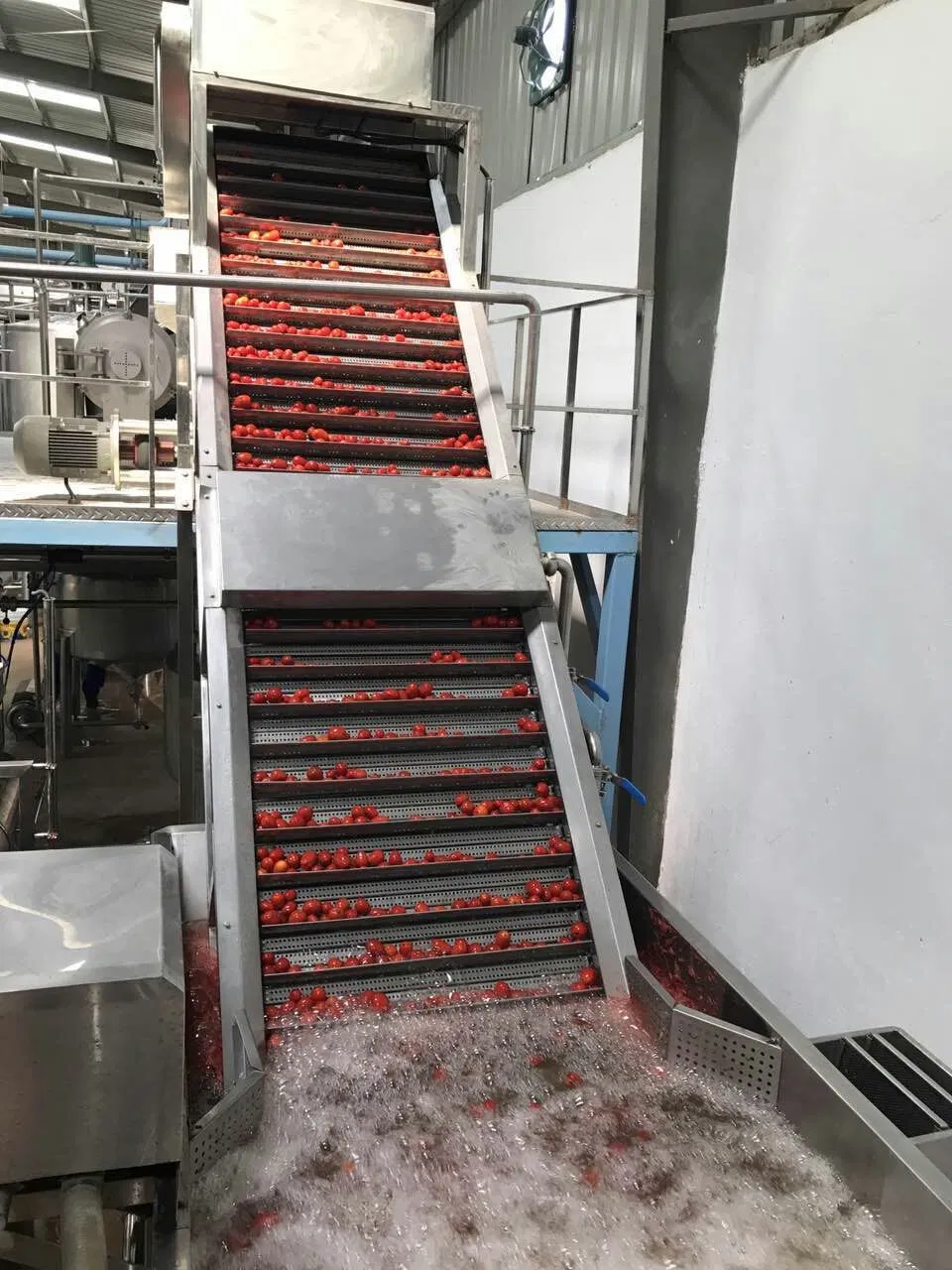 Complete set of tomato processing line