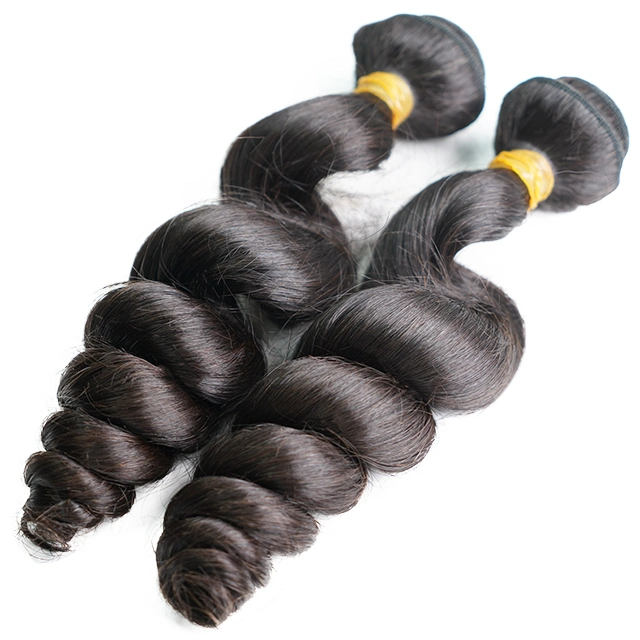 Wxj Longhair 100% Malaysian Loose Wave Virgin Hair Weaving Weft
