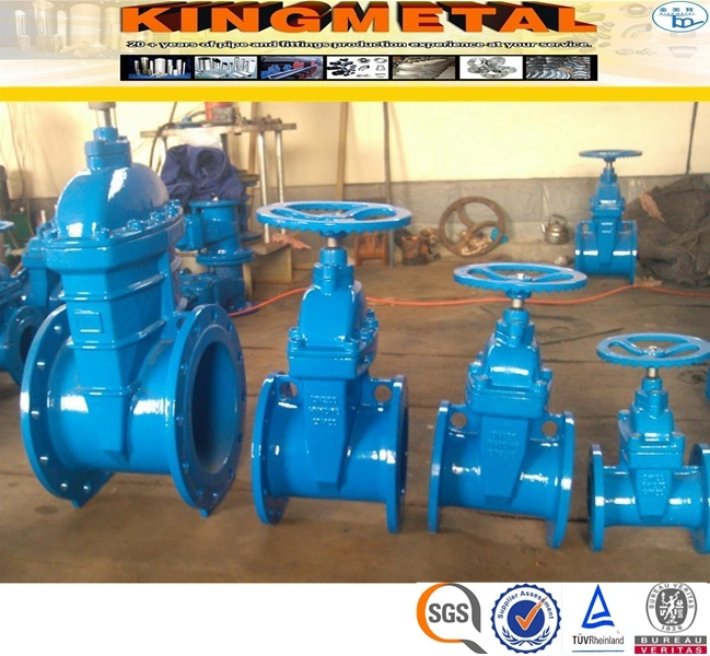 Nps 1 1/2--48 "/ Class 150-1500lb Casting Ductile Iron Valves