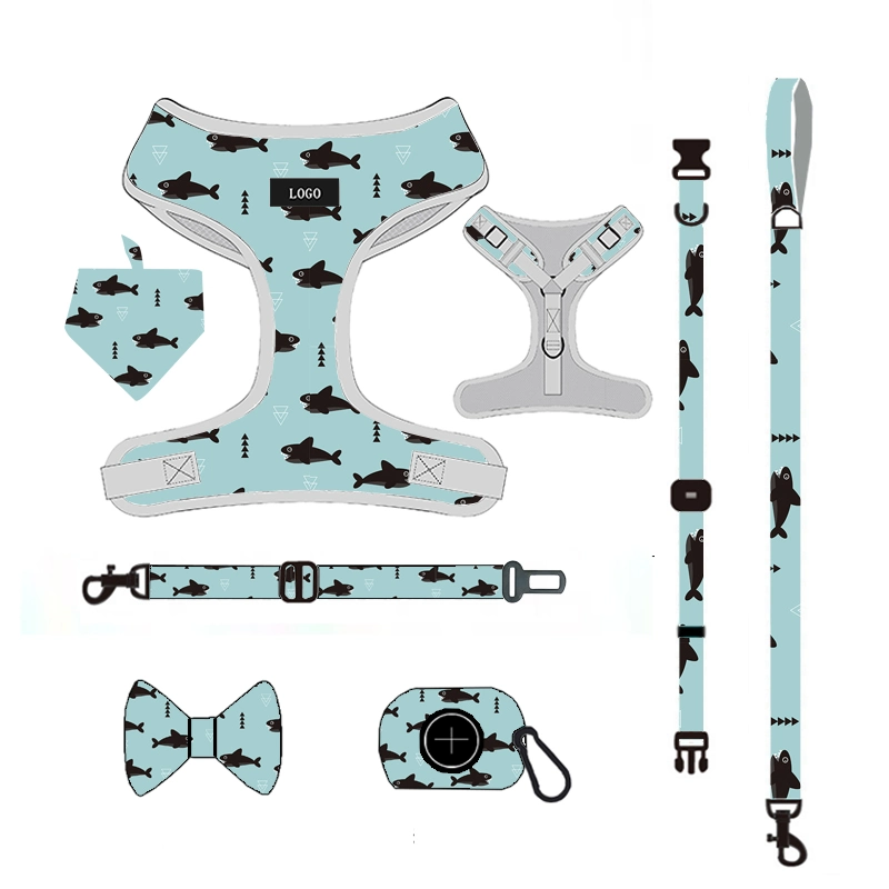 Professional Dog Harness Set Pet Accessories Wholesale/Supplier