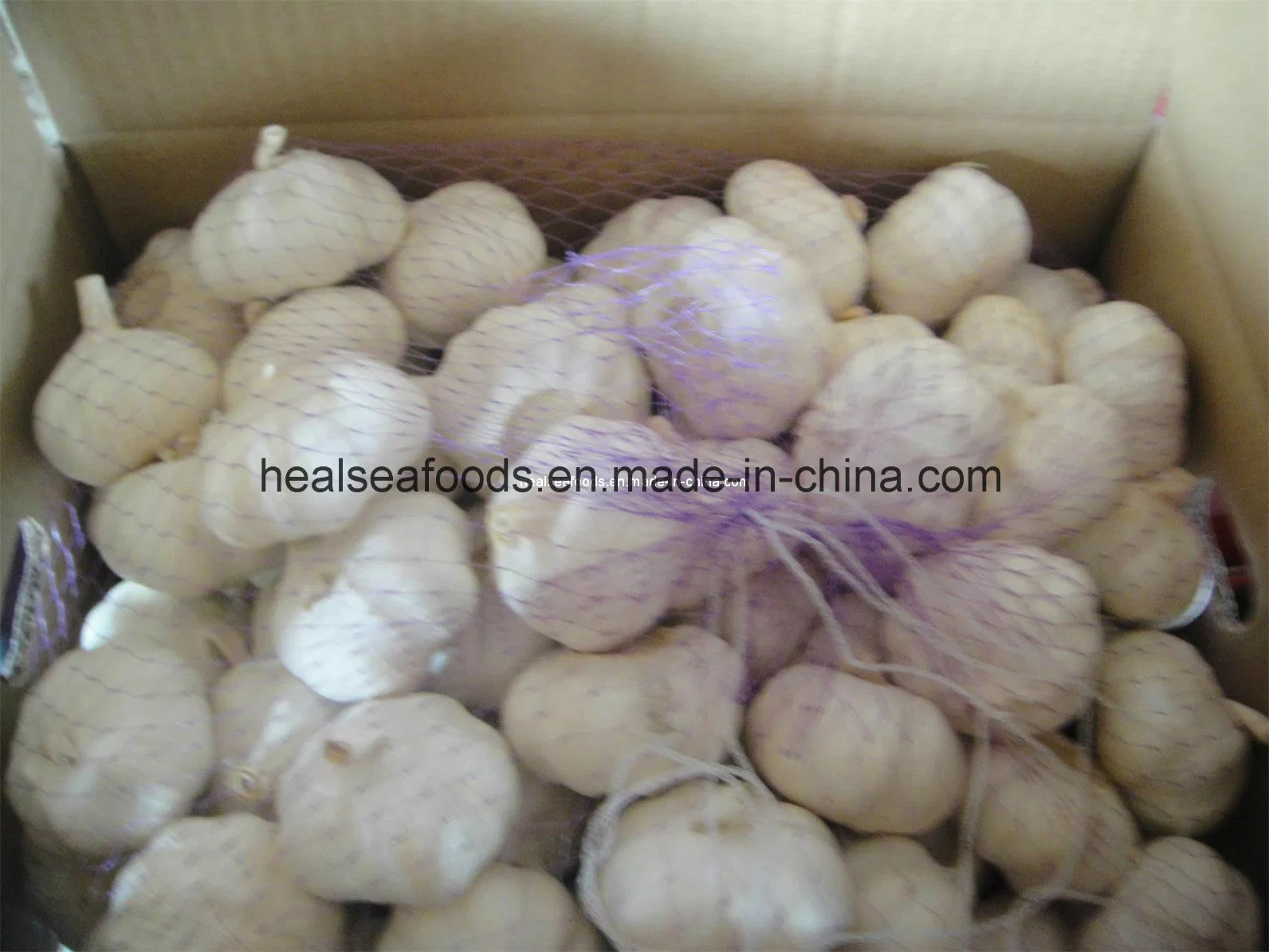 Chinese Frozen Fresh Pure White Garlic