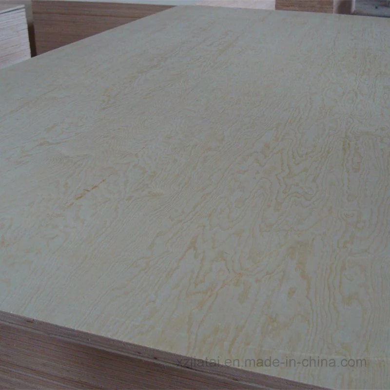 2mm - 25mm Okoume/Bintangor/abedul/Pino muebles de madera contrachapada comercial grado