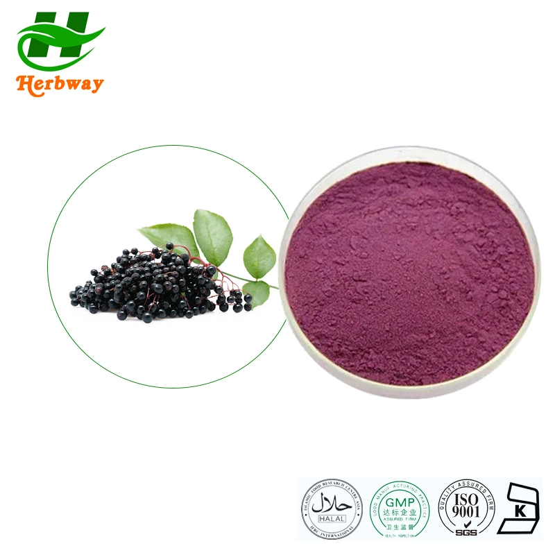 Herbway Natural Plant Extract Kosher Halal Fssc HACCP Certified Rich Anthocyanins Elderberry Extract