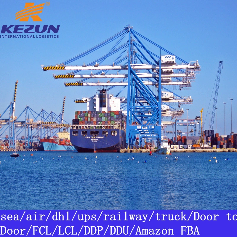 FCL LCL Logistics Spediteur Seefracht Agent aus China Nach Kuwait mit Zollabfertigung / Zoll / Steuer Top Shipping Company