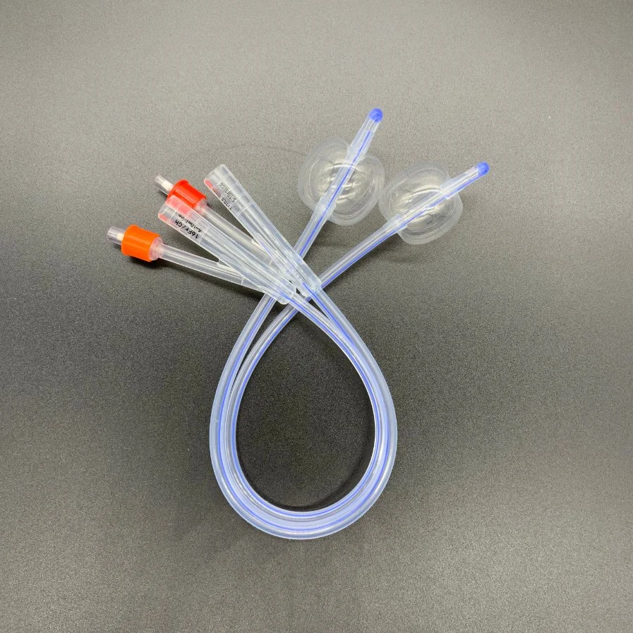 Medical Disposable 100% All Silicone 2-Way 3-Way Foley Catheter