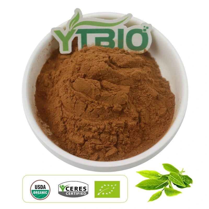 Wholesale/Supplier Organic Supplement Green Tea Extract 98% Polyphenols Powder