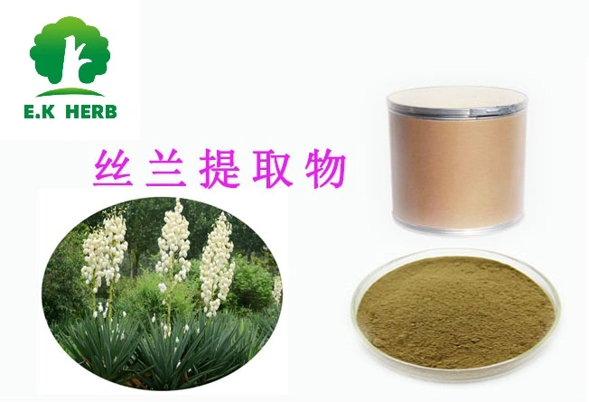 E.K Herb Chinese Reliable Supplier Natural Plant Extract Improve Immunity30%/60%/80% Yucca Saponins Yucca Extract Powder Yucca Extract with High quality/High cost performance in Bulk