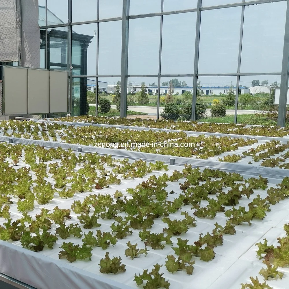 Espuma de cultivo de aguas profundas de la DWC balsa flotante planta creciente del sistema de hidroponía