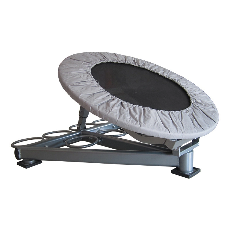 Gymnastic Fitness Equipment Adjustable Portable Medicine Ball Rebounder Trampoline