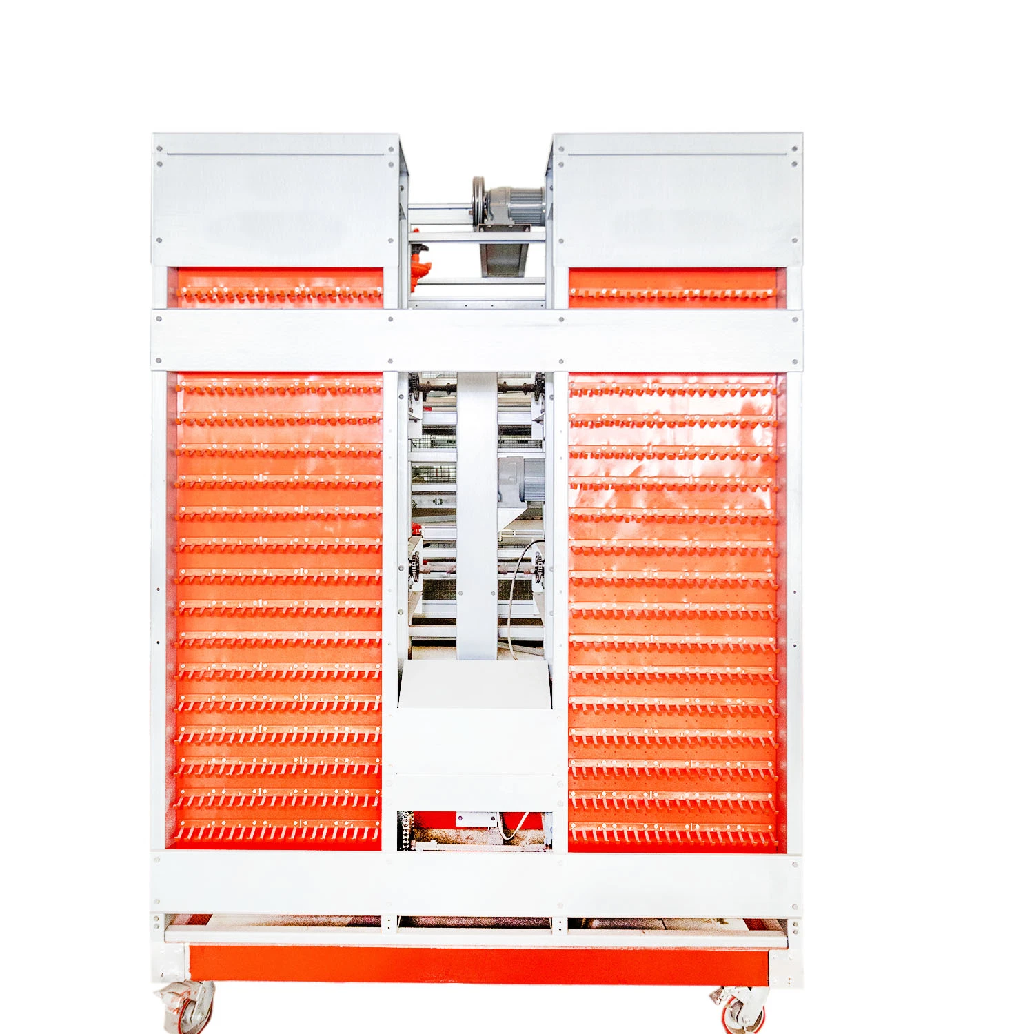 Système de cage d'équipement avicole automatique pour poulailler, œufs, poules et élimination des déjections.